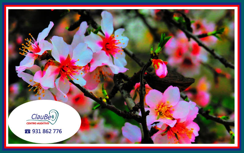 Disfruta con audífonos en primavera con Claube